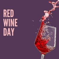 VA - Red Wine Day (2023) MP3