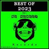 VA - Best Of Nu Monkey Records 2023, Pt. 1 (2023) MP3