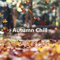 VA - Autumn Chill (2023) MP3