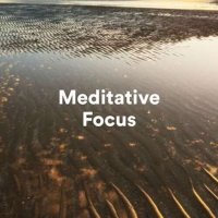 VA - Meditative Focus (2023) MP3
