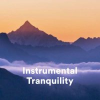VA - Instrumental Tranquility (2023) MP3