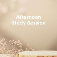 VA - Afternoon Study Session (2023) MP3