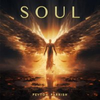Peyton Parrish - SOUL (2024) MP3