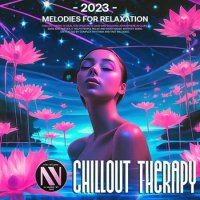 VA - NMN Chillout Therapy (2023) MP3