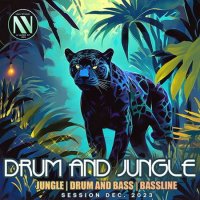 VA - Drum And Jungle (2023) MP3