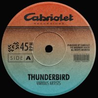 VA - Thunderbird (2024) MP3