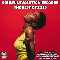 VA - Soulful Evolution Records The Best of 2023 (2024) MP3
