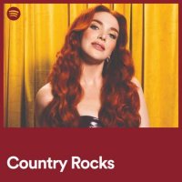 VA - Country Rocks (2024) MP3