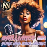 VA - Brilliance Funk And Soul Music (2024) MP3