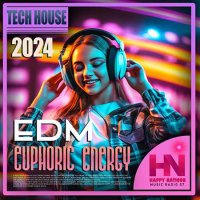 VA - Tech House: EDM Euphoric Energy (2024) MP3