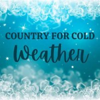 VA - Country For Cold Weather (2024) MP3