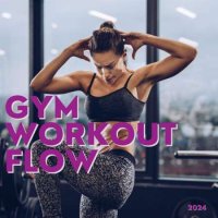 VA - Gym Workout Flow (2024) MP3