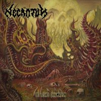 Necrotum - Defleshed Exhumation (2024) MP3