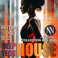 VA - Rhythmic Techno Bliss (2024) MP3