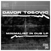 Davor Tosovic - Minimalist in Dub (2024) MP3