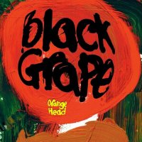 Black Grape - Orange Head (2024) MP3