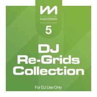 VA - Mastermix DJ Re-Grids Collection 5 (2024) MP3