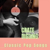 VA - Crate Digging - Classic Pop Songs (2023) MP3