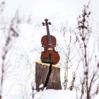 VA - Classical January: Mozart, Bach & More (2024) MP3