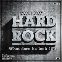 VA - Hard Rock 70's 80' What does he look like (2024) MP3