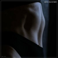 VA - Erotic Chillout Beats (2023) MP3