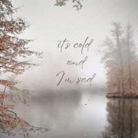 VA - It's Cold And I'm Sad (2024) MP3