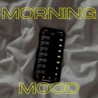 VA - Morning Mood (2024) MP3