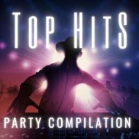 VA - Party Compilation - Top Hits (2024) MP3