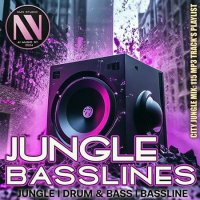 VA - Jungle Basslines (2024) MP3