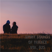 VA - Spirit Sounds of Trance [25] (2023) MP3