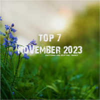 VA - Top 7 November 2023 (2023) MP3