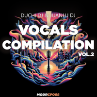 VA - Vocals Compilation [2CD] (2024) MP3