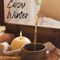 VA - Cozy Winter (2024) MP3