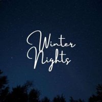 VA - Winter Nights (2024) MP3