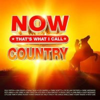 VA - NOW Thats What I Call Country (2024) MP3