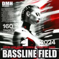 VA - Bassline Field (2024) MP3