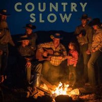 VA - Country Slow (2024) MP3
