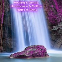 VA - Healing & Gentle, Harmonious & Mellow Tunes to Relax (2023) MP3