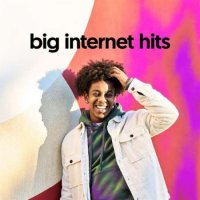 VA - Big Internet Hits (2024) MP3