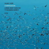 Vijay Iyer - Compassion (2024) MP3
