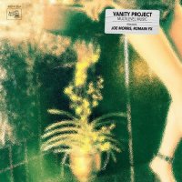 Vanity Project - Multilevel Music (2024) MP3