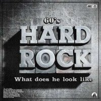 VA - Hard Rock 60's What does he look like (2024) MP3