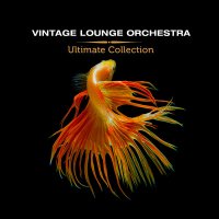 Vintage Lounge Orchestra - Ultimate Collection (2023) MP3