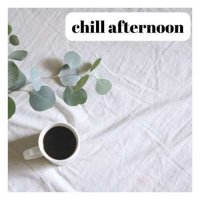 VA - Chill Afternoon (2024) MP3