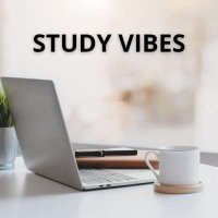VA - Study Vibes (2024) MP3