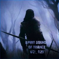 VA - Spirit Sounds Of Trance Vol 29 [Extended Mixes] (2024) MP3