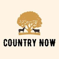 VA - Country Now (2024) MP3