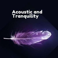 VA - Acoustic And Tranquility (2024) MP3