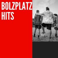 VA - Bolzplatz Hits (2024) MP3