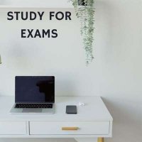 VA - Study For Exams (2024) MP3